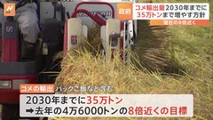 コメ輸出量　政府“2030年までに35万トン”　現在の8倍近くの目標　今月中にも閣議決定の見通し| TBS CROSS DIG with Bloomberg