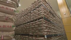 備蓄米の放出量は最大21万トンの方針　初回は15万トンを放出| TBS CROSS DIG with Bloomberg