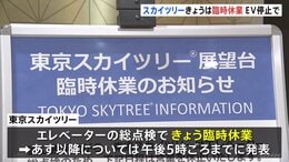 東京スカイツリーが臨時休業 エレベーターの緊急停止受け総点検　24日以降の営業はHPで発表予定|TBS NEWS DIG