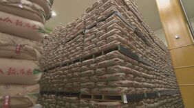 備蓄米の放出量は最大21万トンの方針　初回は15万トンを放出|TBS NEWS DIG