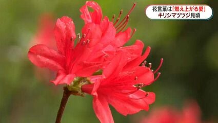 img_0c6976e137890e529834429260