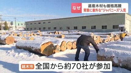 なぜ？丸太1本が460万円…北海道産「マカバ」に高値 国産材の高騰続く