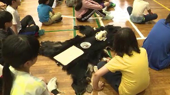 「ツキノワグマ」生態を学ぶ授業…長野・伊那市の小学校「正しい生態、本来の姿を知って…」専門家が呼びかけ「正しく対応すれば、事故は減らせる…」|TBS NEWS DIG