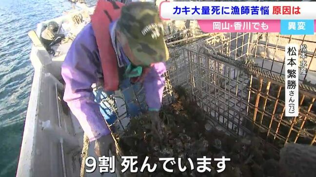 「カキの大量死」大量に水揚げしても出荷できるのは1日わずか4キロほど 大きさも例年にないほど小ぶり【岡山・香川】|TBS NEWS DIG