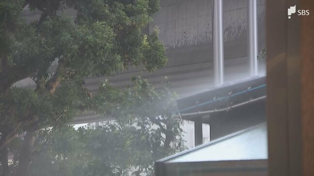 「走っていると前が見えなくなるような」各地でゲリラ雷雨発生 浜松市水窪町で46ミリ解析 日付が変わる頃まで突風や落雷、ひょうに注意=静岡県|TBS NEWS DIG