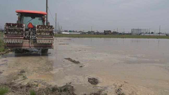 「消費者心理を逆なでする発言は慎んでほしい」江藤農水大臣の“更迭”で岐阜市のコメ卸売業者や農家は･･･|TBS NEWS DIG