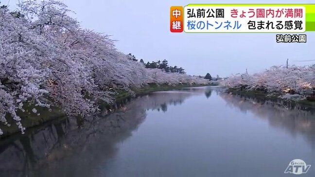 【『青森のサクラ』名所を巡る】弘前公園・西堀の「桜のトンネル」 堀の両岸のサクラが鏡のような水面に映り込む 幻想的な景色に「すばらしすぎます」|TBS NEWS DIG