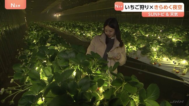 少し変わったいちご狩り体験　おとぎの国に、きらめく夜空も【SUNトピ】|TBS NEWS DIG
