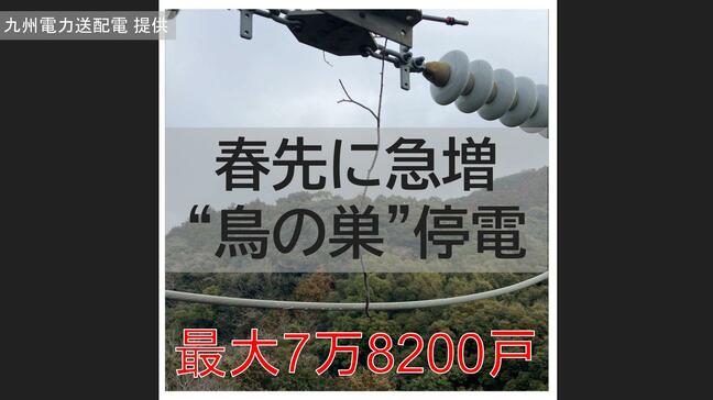 春先に急増する「鳥の巣」停電　最大7万8200戸に影響「変電所の機器不具合」が重なる【長崎】|TBS NEWS DIG