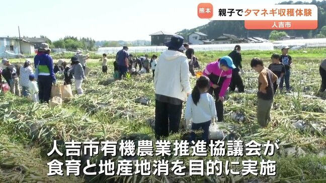 「今夜のごはんは何にしよう?」旬のタマネギ 家族で収穫体験 |TBS NEWS DIG