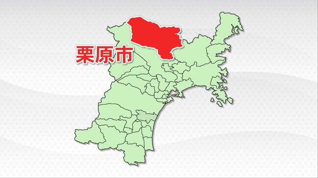 木の伐採中に70代の男性が木の下敷きになったか　宮城・栗原市|TBS NEWS DIG