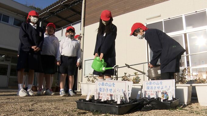 故郷の山の再生を目指して「いろんな遊びがまた出来たら」大規模山林火災の山で小学生が植樹へ【岡山】|TBS NEWS DIG