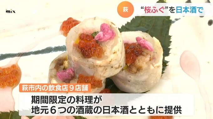 お肉をかんでるみたいな感じ･･･「桜ふぐ」命名キャンペーン　|　山口のニュース・天気・防災｜tys NEWS｜ｔｙｓテレビ山口