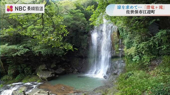 竜が潜むという伝説がある“潜竜ヶ滝”【佐世保市江迎町】　|　長崎のニュース | 天気 | NBC長崎放送