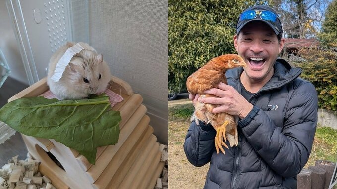 【ハムスター】照英さん “愛娘8歳”  “愛して止まない”  “愛ハムスター” 「愛」が渋滞　ハムスターの本名明かしてフォロワー「いい名前だね～」|TBS NEWS DIG