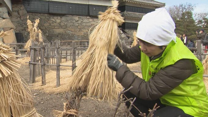 春の観光シーズンへ　松本城で本丸庭園の「冬囲い」の取り外し作業|TBS NEWS DIG