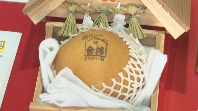 受験生を応援！「合格まちがい梨」今年も販売開始　|　BSSニュース | BSS山陰放送