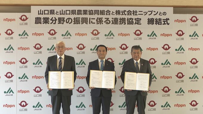小麦の生産量の増加　使用の拡大目指し　国内製粉業界シェア2位ニップンと山口県・ＪＡ山口県が連携協定締結　|　山口のニュース・天気・防災｜tys NEWS｜ｔｙｓテレビ山口