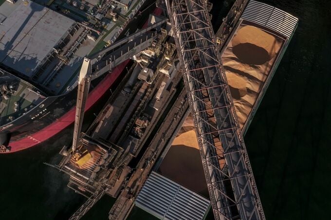 中国、ブラジル産大豆の一部輸入停止－衛生問題でカーギルなど5施設