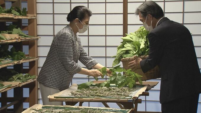 皇后さま「御養蚕納の儀」で今年の養蚕を終える 「小石丸」の繭30キロを伊勢神宮へ出荷　第63回式年遷宮のため|TBS NEWS DIG