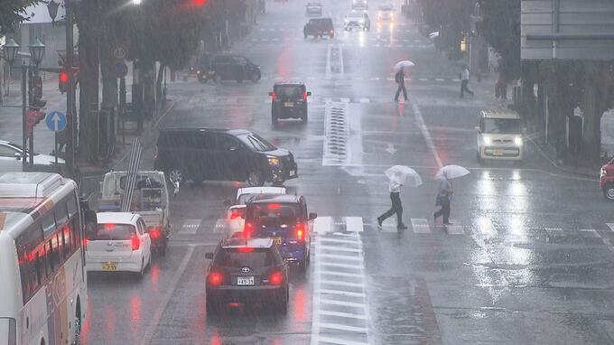 大雨の影響　倒木で県道通行止め　福島・いわき市　午後4時現在　|　福島のニュース│TUF