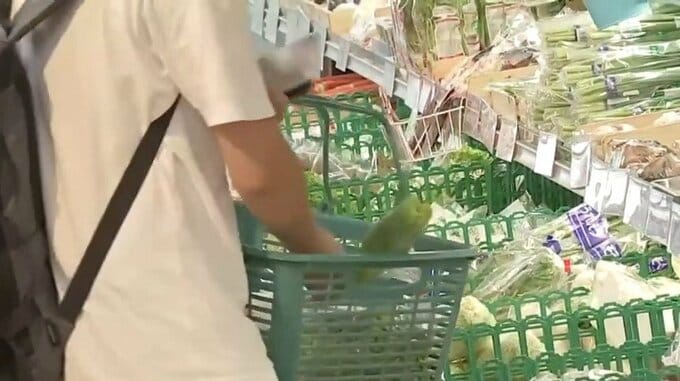 単身世帯に占める60歳以上の割合は53％に　家計消費額は現在より1割減　2050年までの経済予測