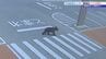 「まさかここに来るとは」給食センターにクマ現れる　正門から侵入し敷地内を移動　防犯カメラに姿　目撃者も　盛岡市　|　IBC NEWS | IBC岩手放送