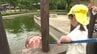 「人間と違うくらいでかかった」虫歯予防デーに園児たちがカバさんの歯磨きに挑戦 愛媛県砥部町　|　愛媛のニュース - Nスタえひめ｜あいテレビは6チャンネル