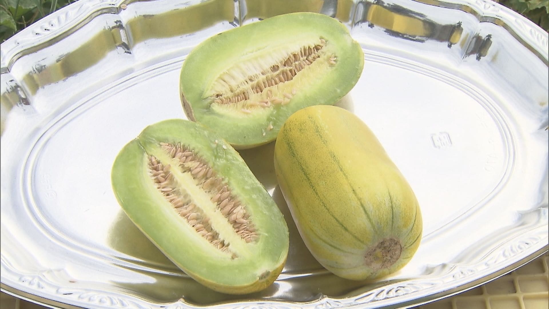 鎌倉時代から続く伝統野菜「まくわうり」の出荷が最盛期　「ほんのり甘くて香りが高い」　岐阜・本巣市　