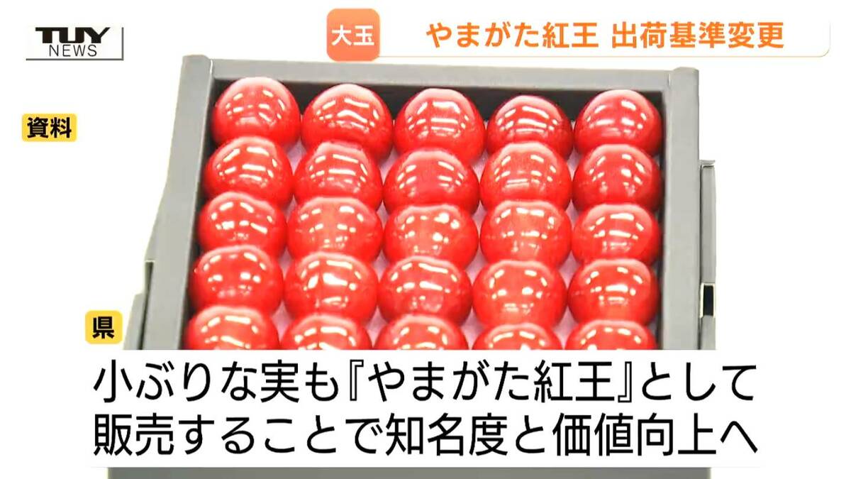 やまがた紅王』出荷基準の見直しへ 「紅王＝大玉」の方針は崩さず