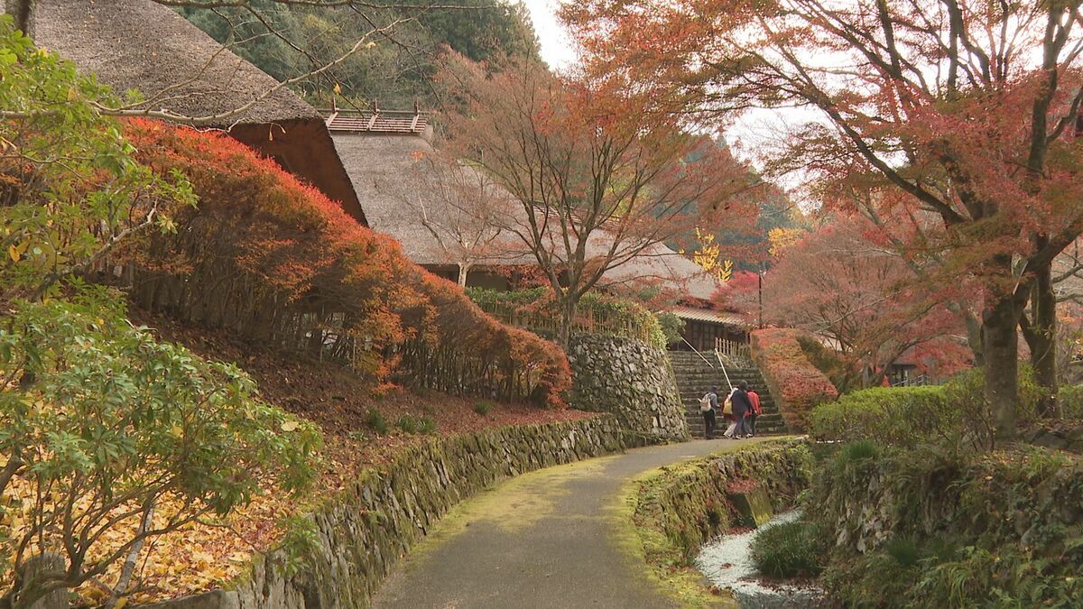 究極の田舎”重源の郷で色とりどりの紅葉が見頃 山口（tysテレビ山口