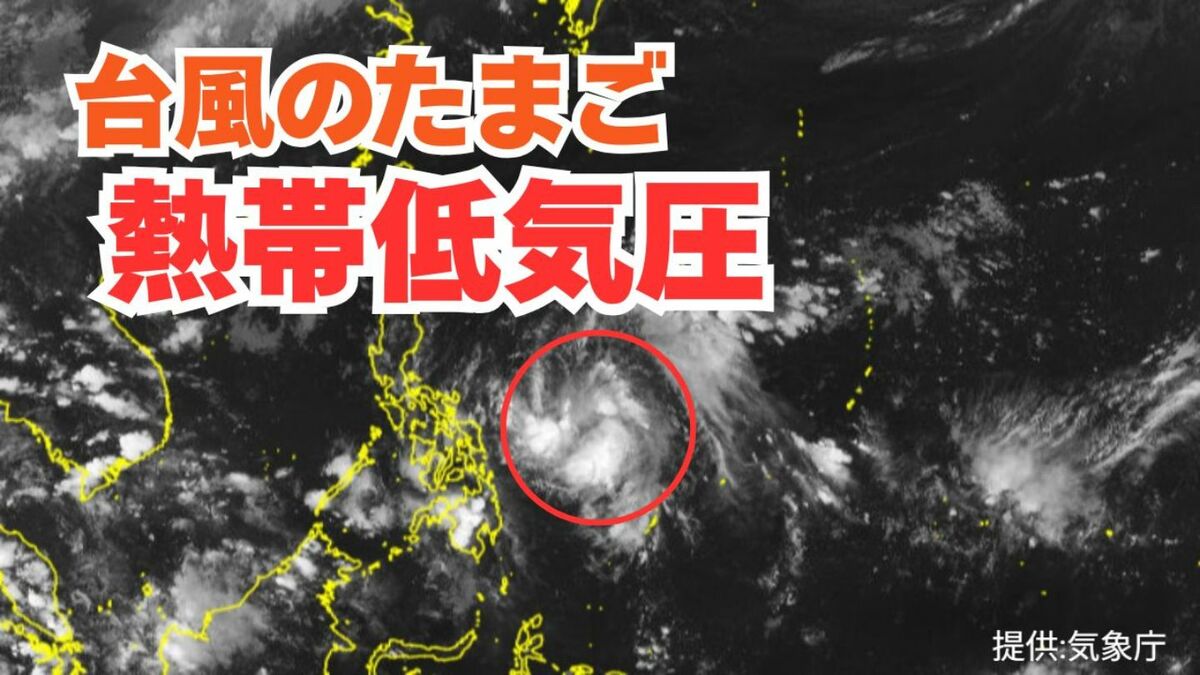 【台風情報】「熱帯低気圧」（台風のたまご）がフィリピンの東で発生中→「台風」へ発達する見込み　今後の進路は？　週末18日・19日の天気への影響は？ 詳しい雨風シミレーションをみる【気象庁 17日午後10時25分発表】　