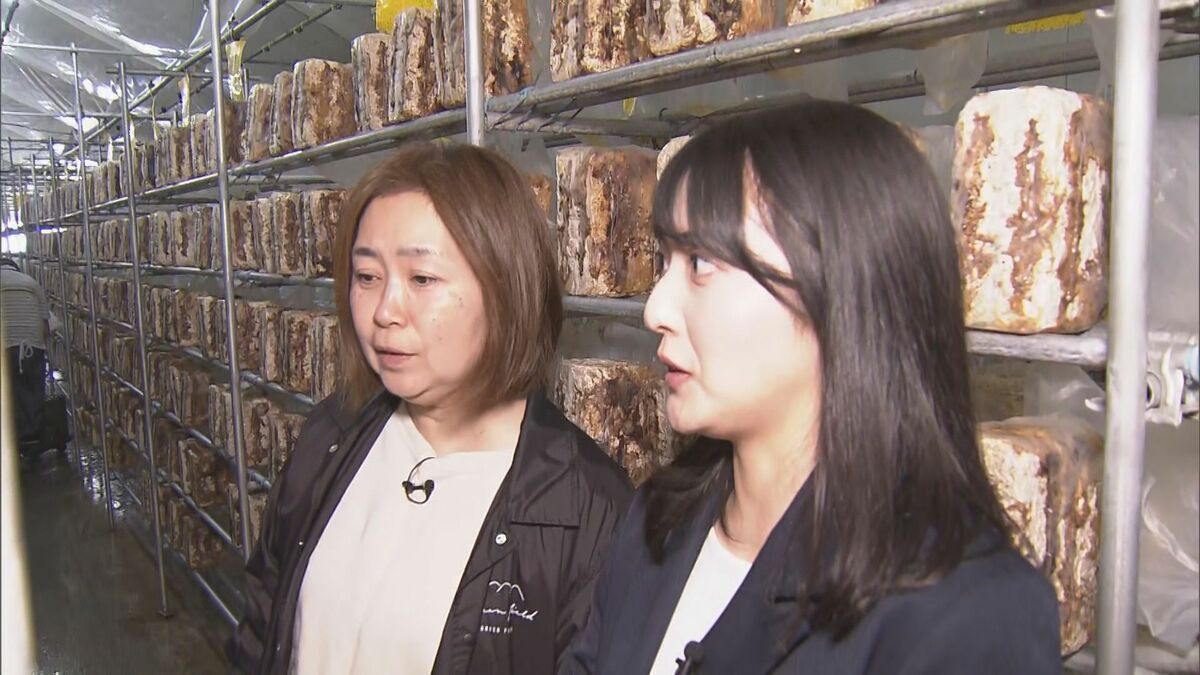 豊川用水の渇水 影響は市民生活や仕事まで… キクラゲ栽培では手作業で水やり 甘味処は洗い物で苦労絶えず ｢断水が現実的になってきた｣ 愛知･豊川市