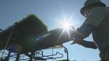 米どころ 北海道東川町で『ゆめぴりか』の田植え始まる「コメに困らないよう、おいしいコメをたくさん作りたい」|TBS NEWS DIG