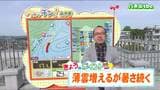 「きのうに続き内陸を中心に夏日となるため、しっかり水分補給を」宮城の30秒天気 tbc気象台 5日|TBS NEWS DIG
