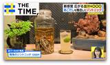 なぜ?新感覚「出汁×スイーツ」続々…クッキーも羊羹もバスチーも“出汁入り”【THE TIME,】 |TBS NEWS DIG