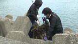 自然と共に生きる地域の実現に向け 市民の環境意識を高めよう「護岸クリーン作戦」愛媛・宇和島市 | 愛媛のニュース - Nスタえひめ|あいテレビは6チャンネル