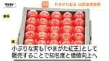 『やまがた紅王』出荷基準の見直しへ 「紅王=大玉」の方針は崩さず、ブランド力の向上に期待(山形) | 山形のニュース│TUYテレビユー山形