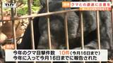 クマとの遭遇に注意を　春と秋は被害件数増える傾向に　|　山形のニュース│TUYテレビユー山形