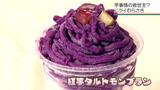 沖縄のイモ業界がピンチ! 茎や芋が腐る「基腐病」で主力品種の収穫量が半減…現れた救世主|TBS NEWS DIG