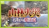 山林火災の原因、日本では99%が『人為的な理由』キーワードは「針葉樹」と「温暖化」そして冬から5月までの「乾燥」に警戒【MBSニュース解説】|TBS NEWS DIG