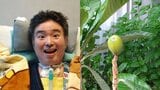 【 ALS闘病 】声優・津久井教生さん “ベランダ果実”を紹介「かなり大きくなってきました~」「なんか可愛いのです♡」【ニャンちゅう】|TBS NEWS DIG