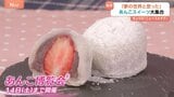 「罪悪感が少ない」時代はチョコよりも『あんこ』！？「これは夢の世界」東京・日本橋で魅惑の『あんこ博覧会』が開催中|TBS NEWS DIG