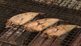 「福島の魚を食べないと損、と思わせたい」おいしい『常磐もの』で風評払拭 | 福島のニュース│TUF