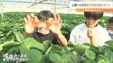 寒さを気にせず満喫できる「上着いらずの行楽スポット」 大分 | 大分のニュース|OBS NEWS|大分放送