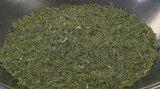 「まろやかな味が広がり、すばらしい」県産の新茶をPR 大分 | 大分のニュース|OBS NEWS|大分放送