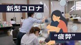 「休みの日は体が動かない」「終わり見えない」第7波直撃で保健所が再び“限界”へ―福岡|TBS NEWS DIG
