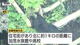 近くには住宅街や高校も　コミセン付近にクマ出没　体長約1メートルの成獣か（山形・鶴岡市）|TBS NEWS DIG
