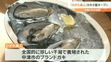 濃厚なうま味が自慢 ブランドガキを提供する「美人小屋」オープン 大分・中津市 | 大分のニュース|OBS NEWS|大分放送