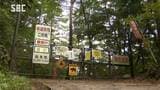 行方不明の82歳男性か 松本市の山林で男性1人を発見 意識はあるが頭や足にけが キノコ採りで山に入る | SBC NEWS | 長野のニュース | SBC信越放送